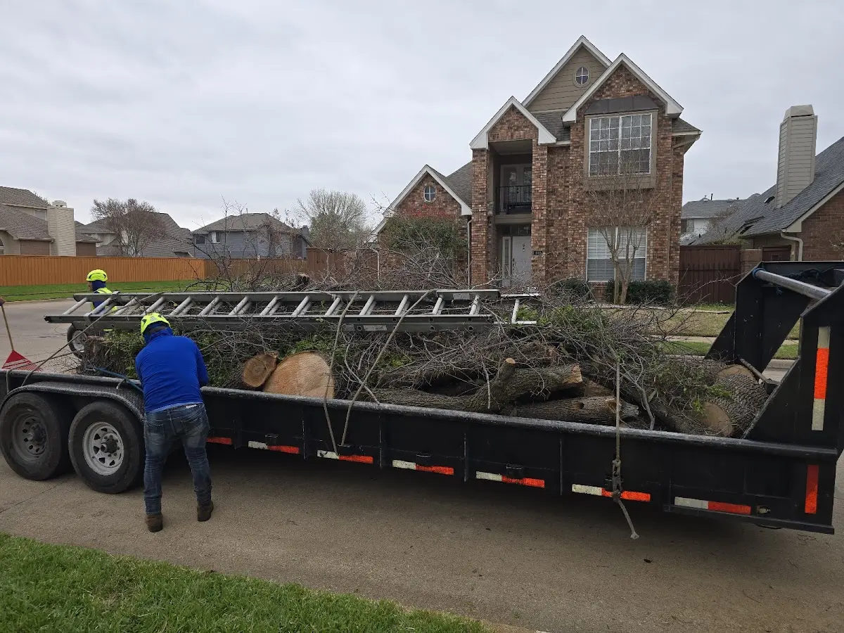 Expert Tree Fertilization with proper safety equipment in Mc Kittrick